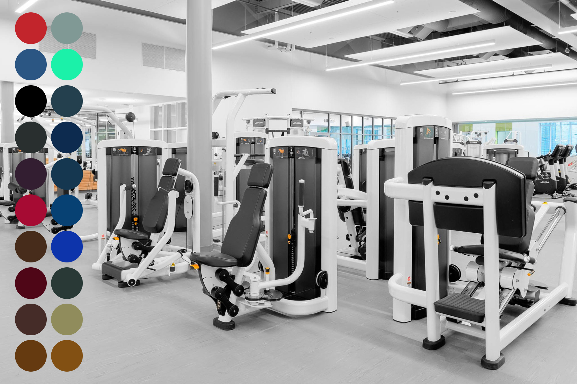 LifeFitness-Insignia-Strength