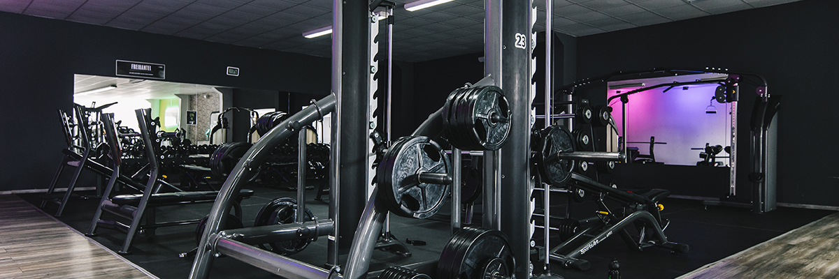 SportsArt Plate Loaded SportsArt Plate Loaded