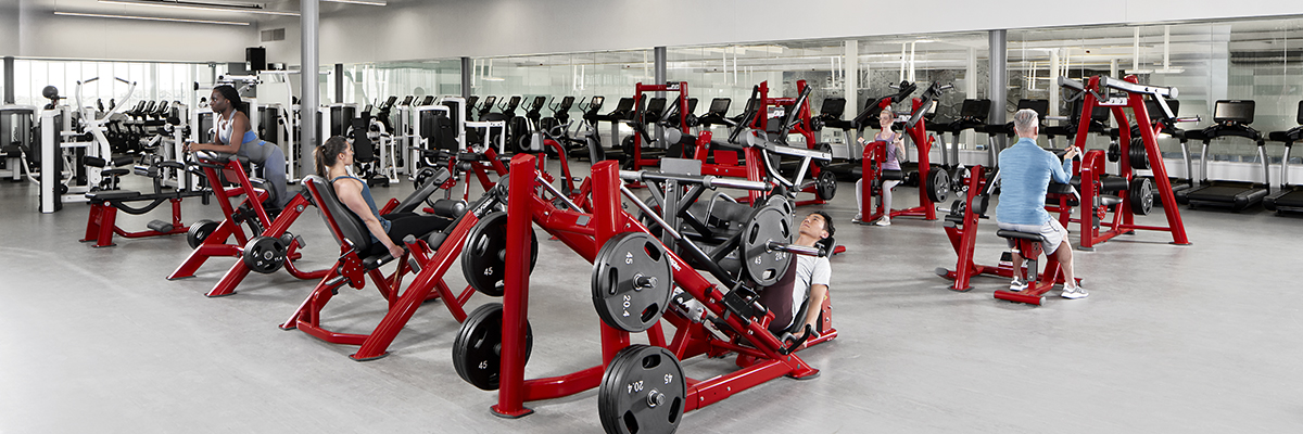 Life Fitness Signature Life Fitness Signature