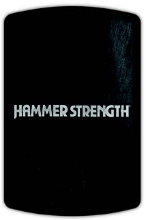 Hammer Strength HD Athletic NX Wall Ball Target 