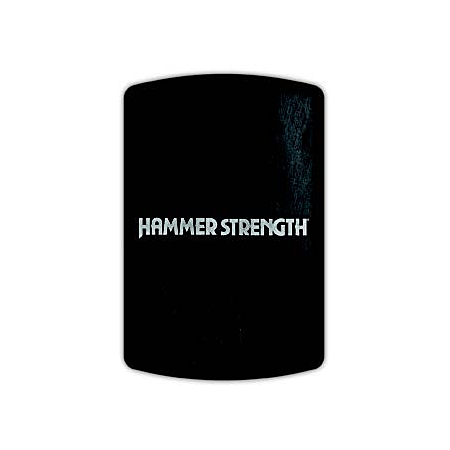 Hammer Strength HD Elite iD Wall Ball Target 