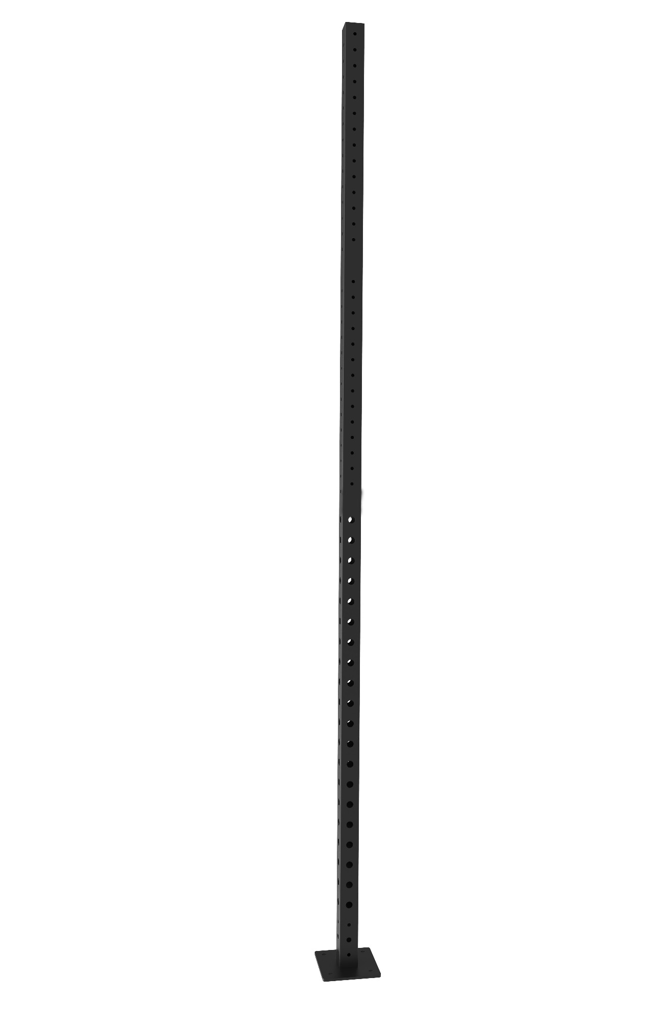 TITAN LIFE PRO Rig Upright Tube 3,68 m