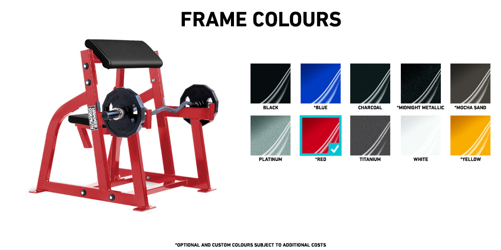 Hammer Strength Seated Arm Curl
