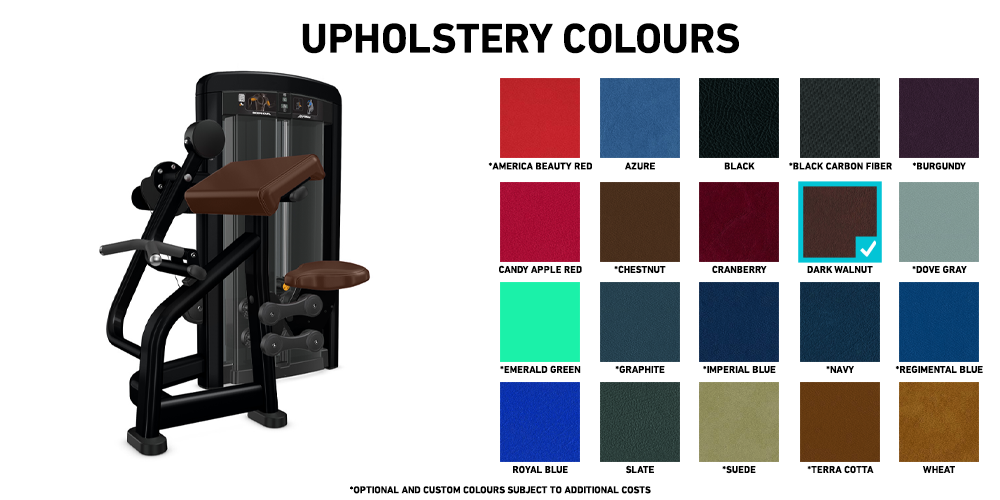 Life Fitness Insignia series Curl - Dependent 