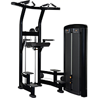  Life Fitness Insignia Assist Dip & Chin
