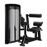  Life Fitness Insignia Back Extension