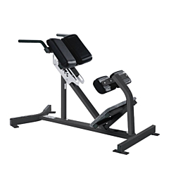 Hammer Strength Back Extension