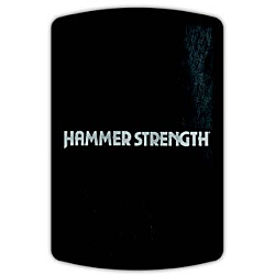 Hammer Strength HD Athletic NX Wall Ball Target 