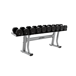 Demo - Life Fitness Signature Dumbbell Rack - Single Tier, Platinum