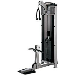 Life Fitness Fit Biceps / Triceps