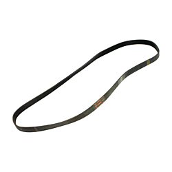 Cybex Belt, Poly-V 480J8 -750C/R 