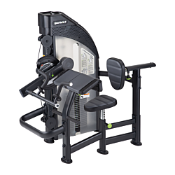 SportsArt DF305 Biceps/Triceps