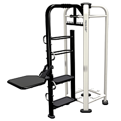 Life Fitness PWR Play Step 