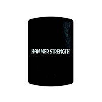  Hammer Strength HD Elite iD Wall Ball Target 