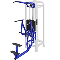  Life Fitness MJ Dip/Chin Assist 