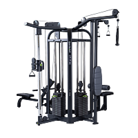  SportsArt MS-101 Multi-station