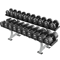 Hammer Strength Two Tier XL Dumbbell Rack