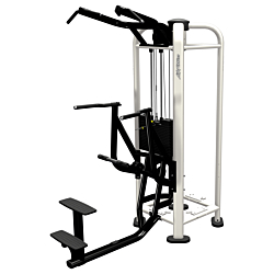 Life Fitness PWR Play Asisst Dip Chin