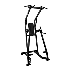 Hammer Strength Chin/Dip/Leg Raise