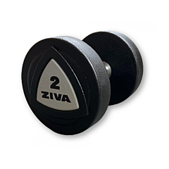 Ziva Dumbbell 2 kg
