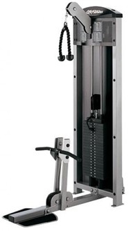 Life Fitness Fit Biceps / Triceps