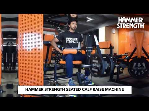 Hammer Strength Plate Loaded Seated Calf Raise 