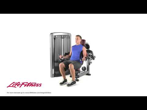 Life Fitness Insignia Series Biceps Curl