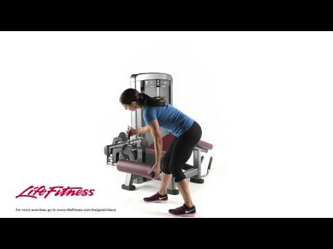 Life Fitness Insignia Series Leg Curl (Prone)