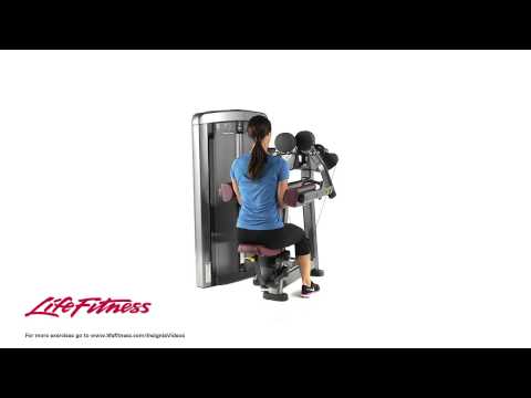 Life Fitness Insignia Series Lateral Raise