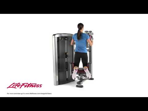 Life Fitness Insignia Series Torso Rotation