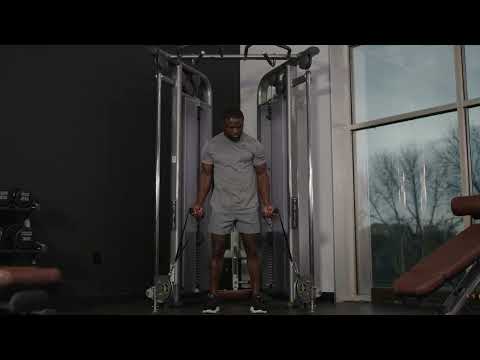 Life Fitness CMS Dual Adjustable Pulley with Stability Pad 