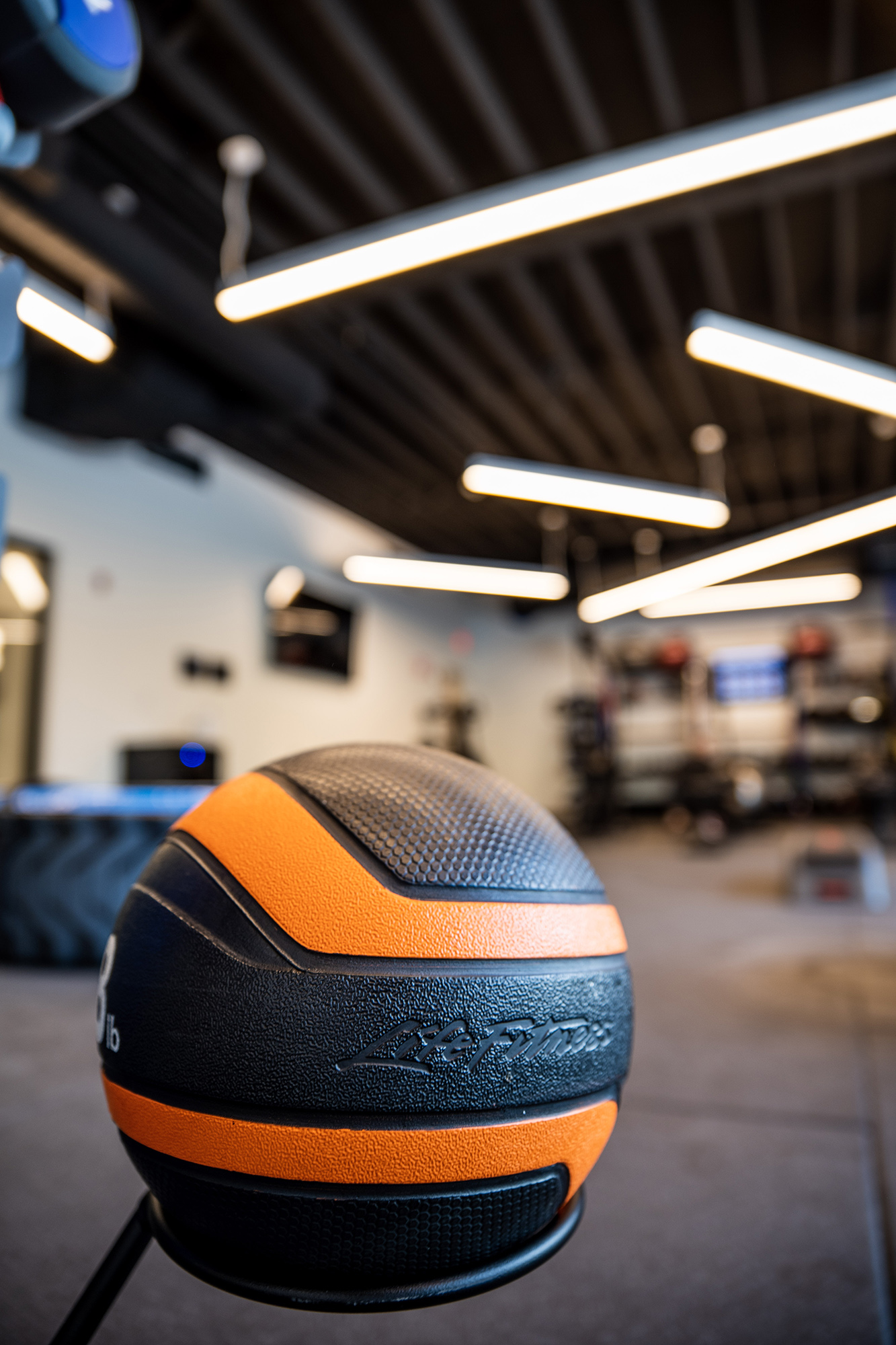 Life Fitness Medicine Ball 2 kg