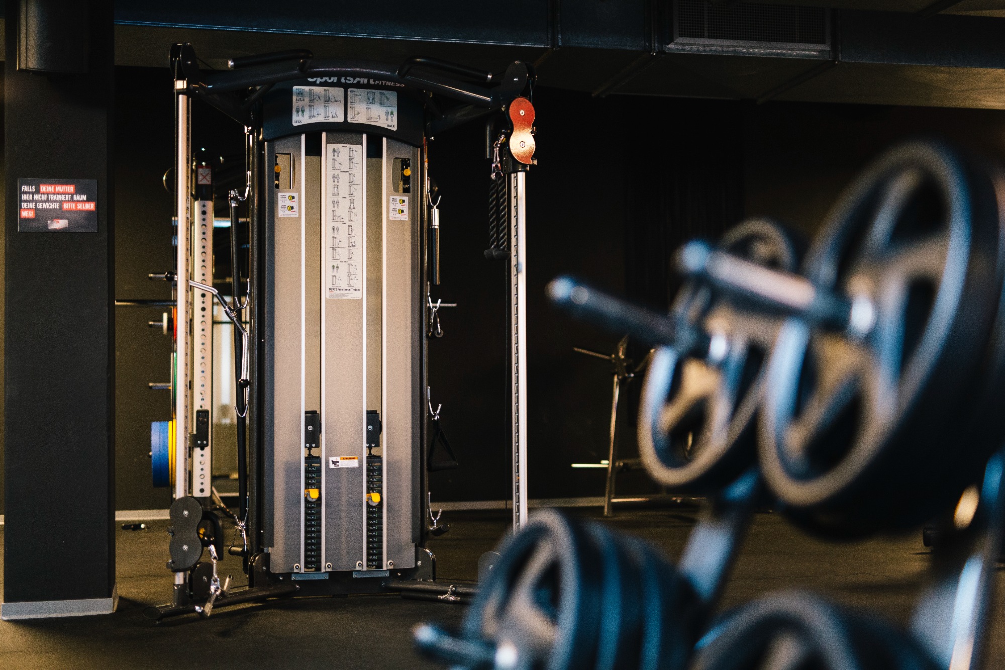 SportsArt DS972 Functional Trainer Dual