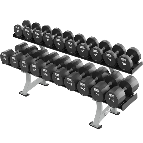 Hammer Strength Two Tier XL Dumbbell Rack