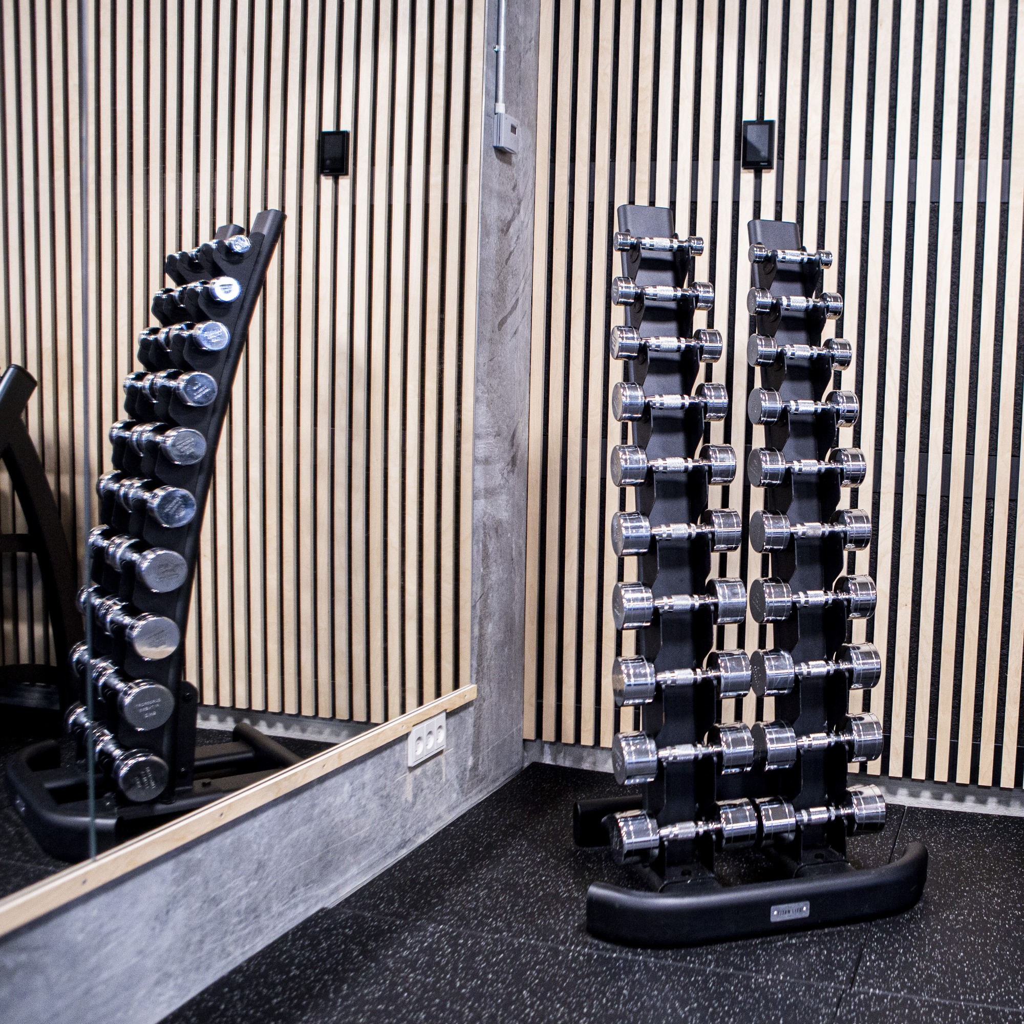 TITAN LIFE PRO Chrome Dumbbell Rack