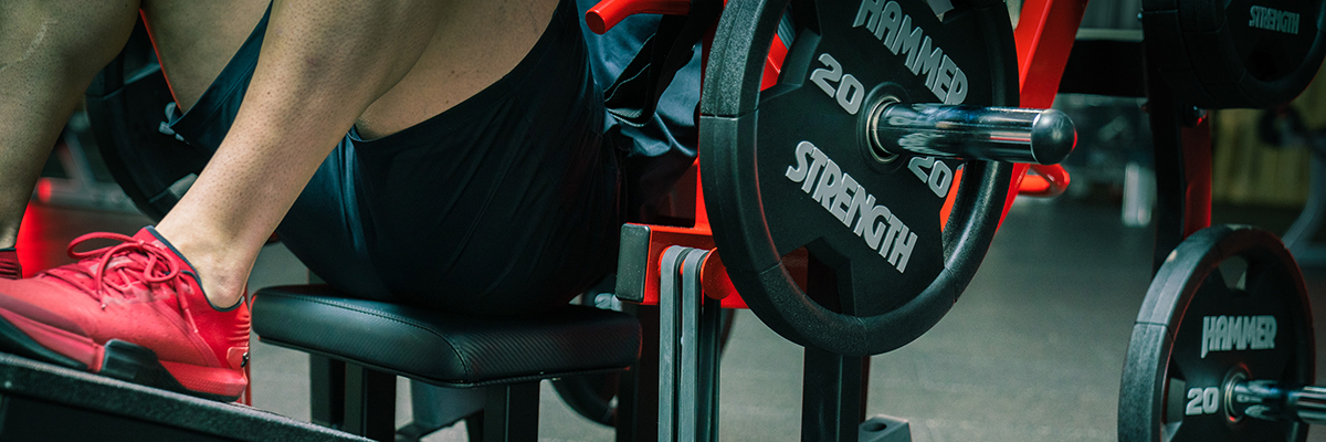 Hammer Strength Plate Loaded