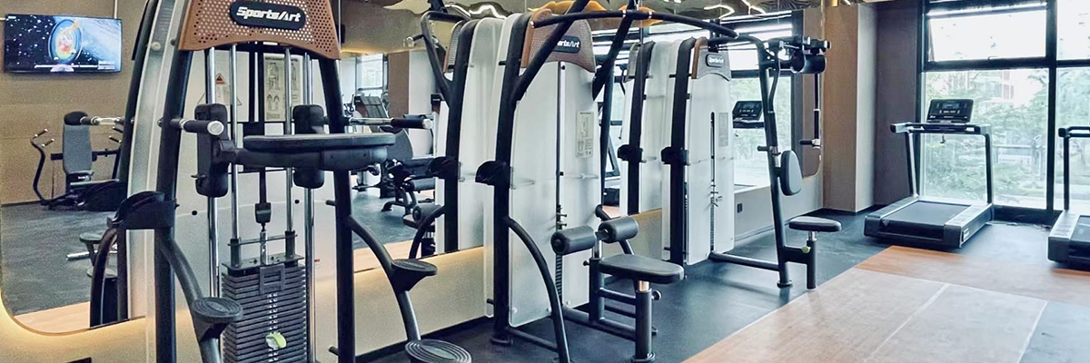 SportsArt N-serie SportsArt N-serie